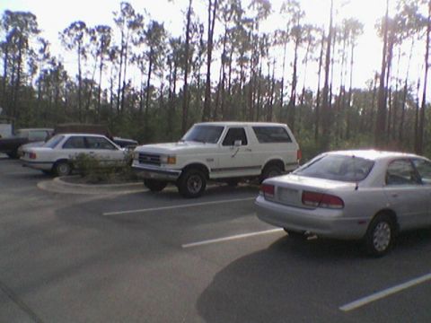 1990 Ford Bronco - A white 1990 Ford Bronco is parked in a lot with other vehicles.