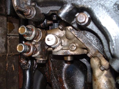 1996 Ford Crown Victoria - OLD_OIL_COOLER_LINES.JPG