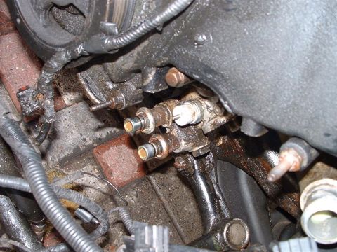 1996 Ford Crown Victoria - OLD_OIL_COOLER_LINES_2.JPG