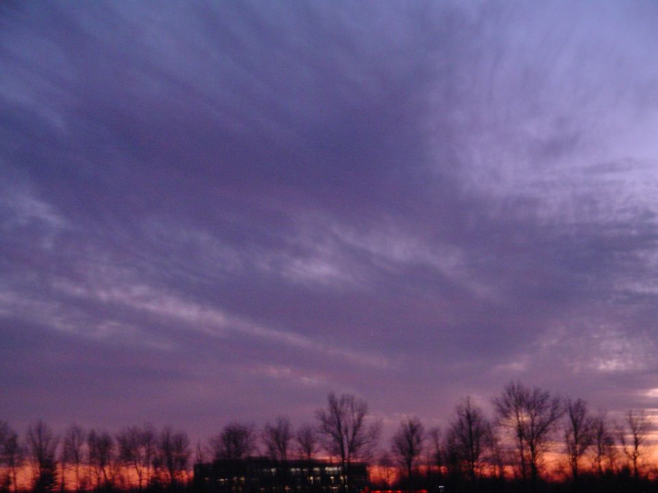 Purple and orange sky at dusk with silhouetted trees and a building below. Supermotors.net logo visible