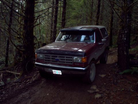 1988 Ford Bronco photo