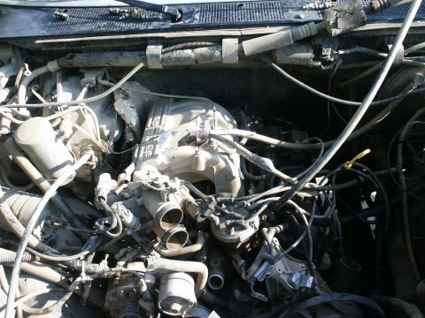 1991 Ford Bronco - The engine bay is filled with a complex network of hoses and wiring, obscuring the engine components.