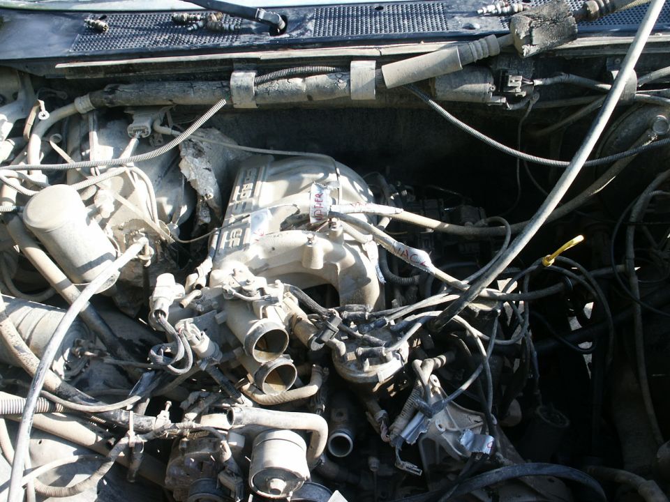 Engine bay with lots of wires and hoses, looks like a V8