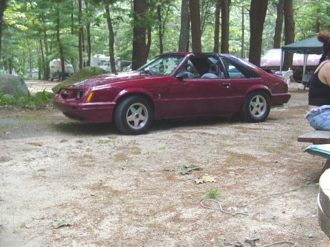 1986 Ford Mustang photo