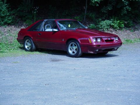 1986 Ford Mustang photo
