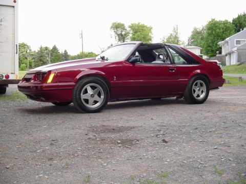 1986 Ford Mustang photo