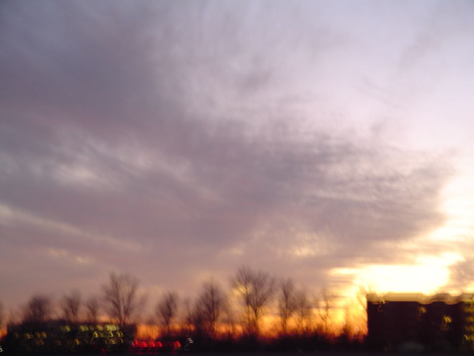 Blurry sunset sky over silhouetted trees and distant lights