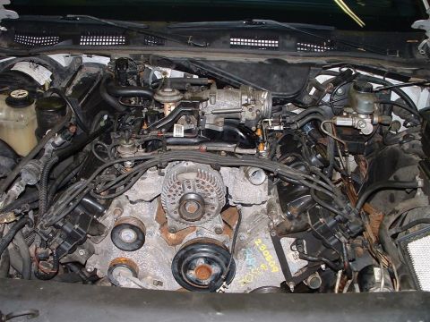 1996 Ford Crown Victoria - Close-up view of a V8 engine bay, showing various mechanical parts and electrical wiring.