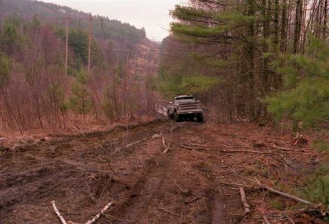 1991 Ford Bronco - A pickup truck navigates a challenging muddy path through a wooded area.