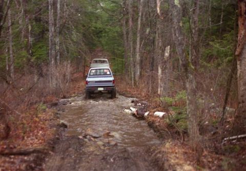 1991 Ford Bronco - Two pickup trucks navigate a waterlogged trail deep within a wooded area.