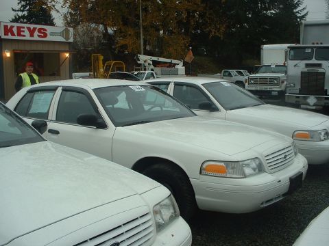 1999 Ford Crown Victoria - A row of white Ford Crown Victorias are parked outside a building with a "KEYS" sign.