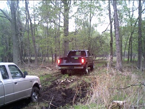 1995 Ford F-150 photo