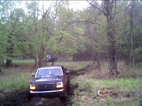 1995 Ford F-150 photo