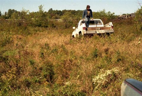1991 Ford Bronco - A white pickup truck sits partially submerged in tall grass, with a person standing in its open tailgate.