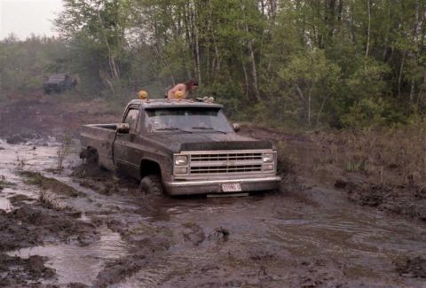 1991 Ford Bronco - Pickup truck stuck in mud with another vehicle visible in the background.