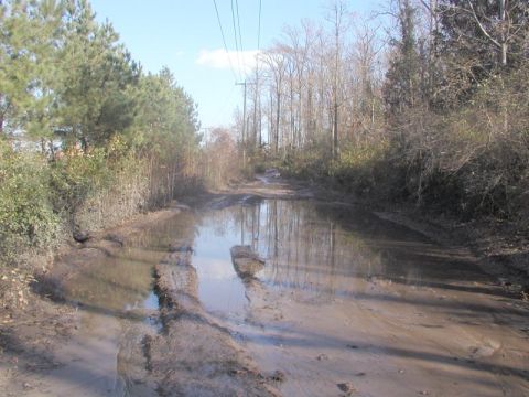1988 Ford Bronco - A muddy road with deep puddles winds through a wooded area under a bright sky.