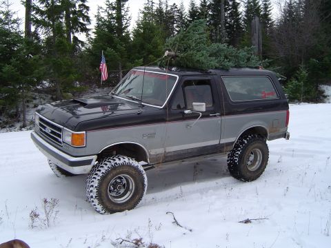 1989 Ford Bronco - Got my tree...nice Noble