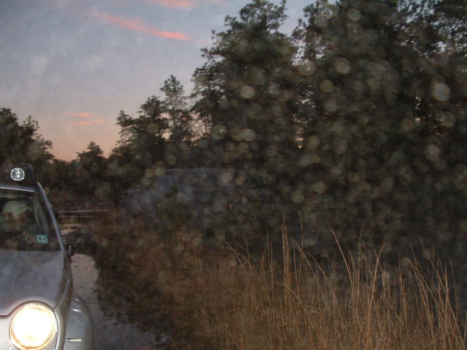 Silver SUV driving on a dirt road at dusk with trees and tall grass