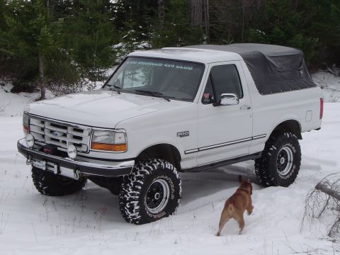 1989 Ford Bronco - Marks pretty bronco