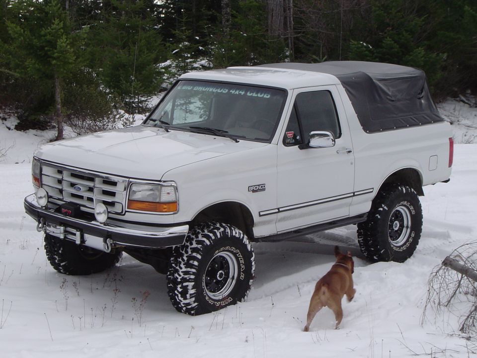 Marks pretty bronco