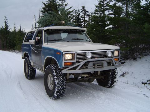1989 Ford Bronco - Todd found a tree
