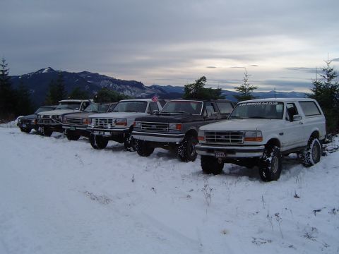 1989 Ford Bronco - Line up