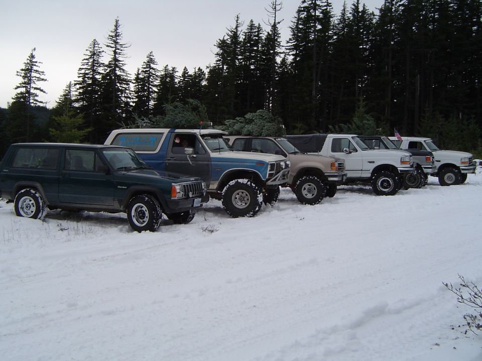 Mixed row of 4x4s in snow including a Jeep Cherokee, full-size Broncos and pickups among evergreens