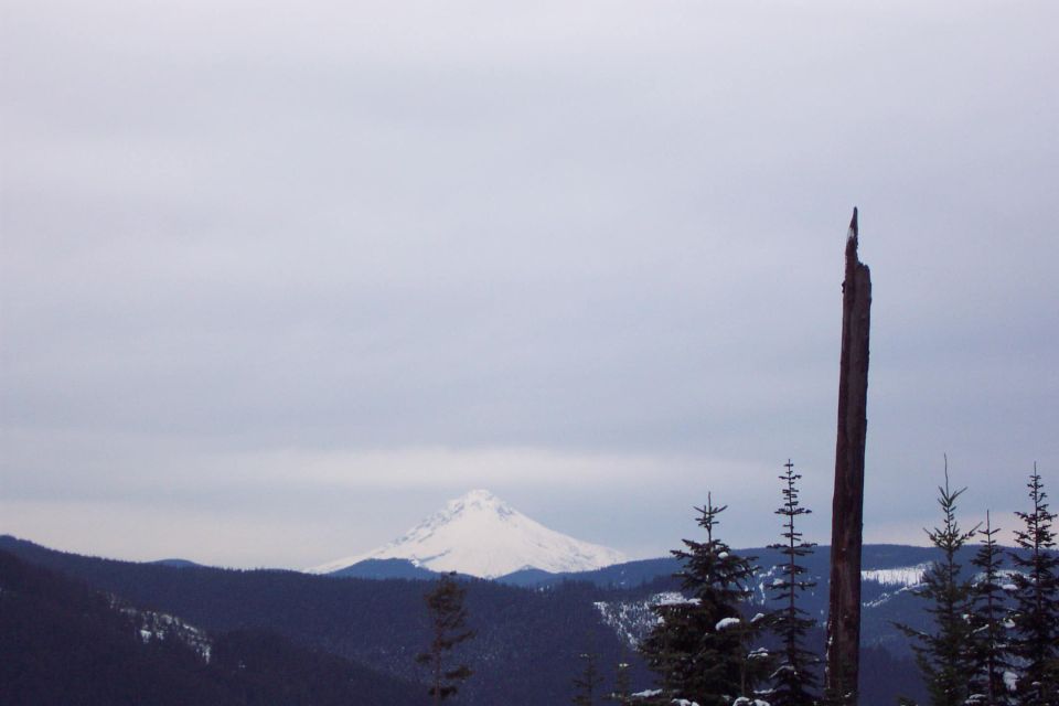 Mt. Hood
(12/4/2004)