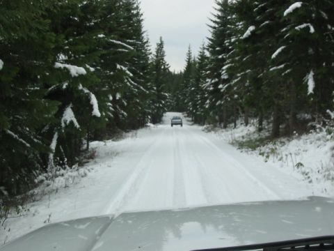 1995 Ford Bronco - Following Todd