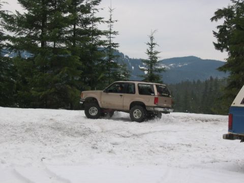 1995 Ford Bronco - Anne likes donuts.