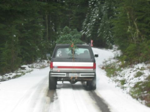 1995 Ford Bronco - A black Ford Bronco drives on a snow-covered road through a forest, transporting a Christmas tree.