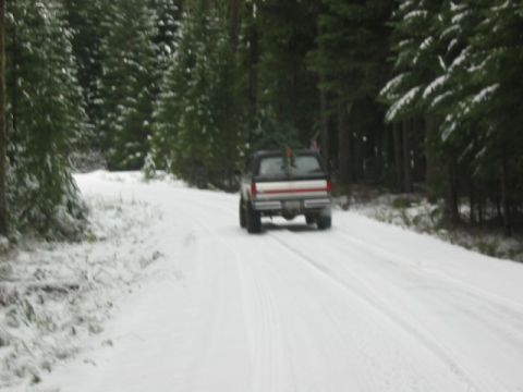 1995 Ford Bronco - A 1995 Ford Bronco navigates a snow-covered road in a forest, carrying a Christmas tree on its roof.