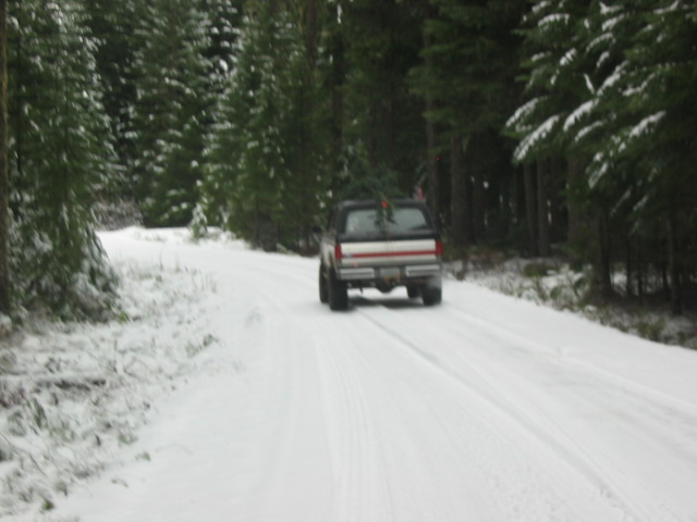 Rear view of a dark and silver Ford truck driving down a snow-covered forest road