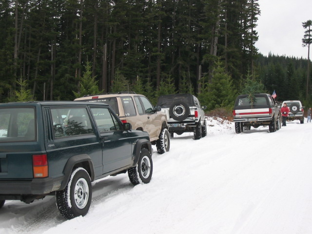 Green Jeep and lifted 4x4s parked on a snowy forest road