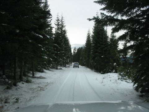 1995 Ford Bronco - A lone SUV navigates a snow-covered road winding through a dense evergreen forest.