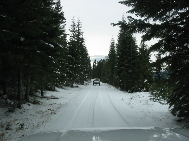View over a white hood on a snowy evergreen-lined forest road with a dark SUV ahead