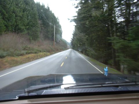 1991 Ford Bronco - View from inside a vehicle driving on a wet road through a forest, with a blue duck figurine visible on the dashboard.