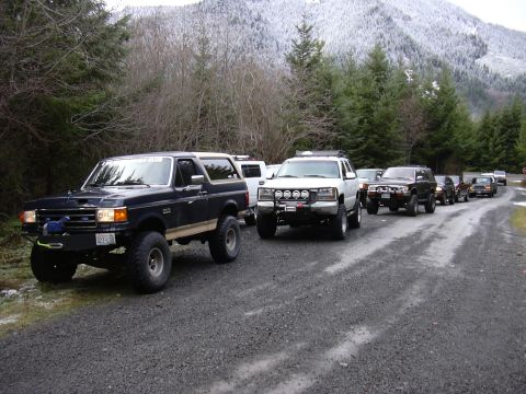 Tree Run 2004