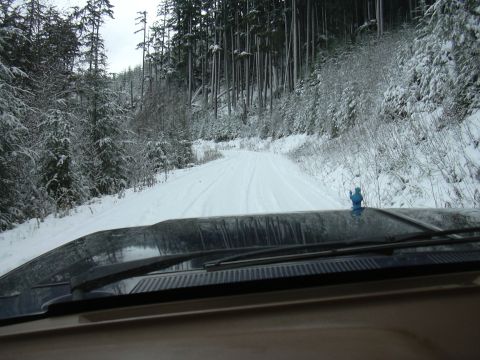 1991 Ford Bronco - Driving on a snowy forest road in winter.