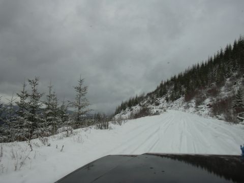 1991 Ford Bronco - Driving on a snowy mountain road with pine trees lining the slope.