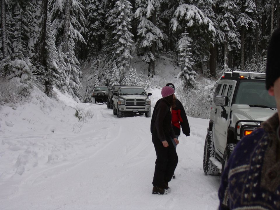 Several SUVs and trucks drive in a line on a snow-covered road through a forest
