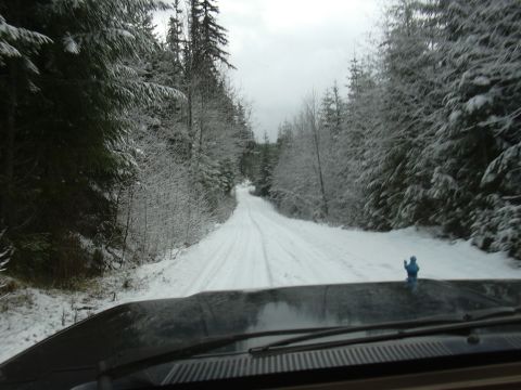 1991 Ford Bronco - Driving down a snowy, tree-lined road in winter.