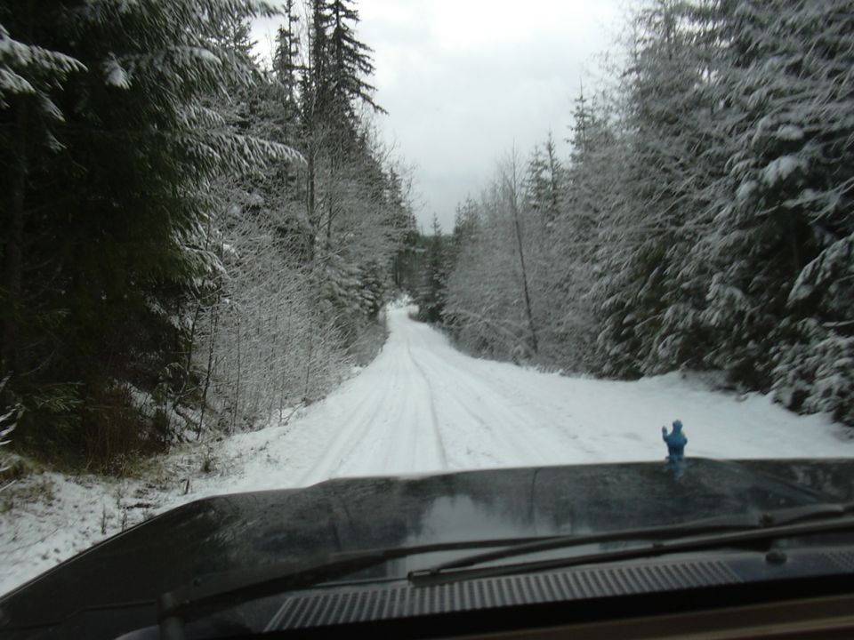 view from inside vehicle driving on a snow-covered road through a forest