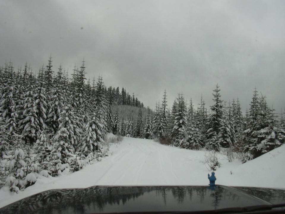 Dashboard view of a snowy road through a forest with snow-covered trees