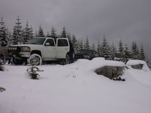 1991 Ford Bronco - Several SUVs are parked in a snowy, wooded area, with trees covered in snow in the background.