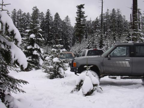 1991 Ford Bronco - Two trucks are parked in a snowy forest during winter.