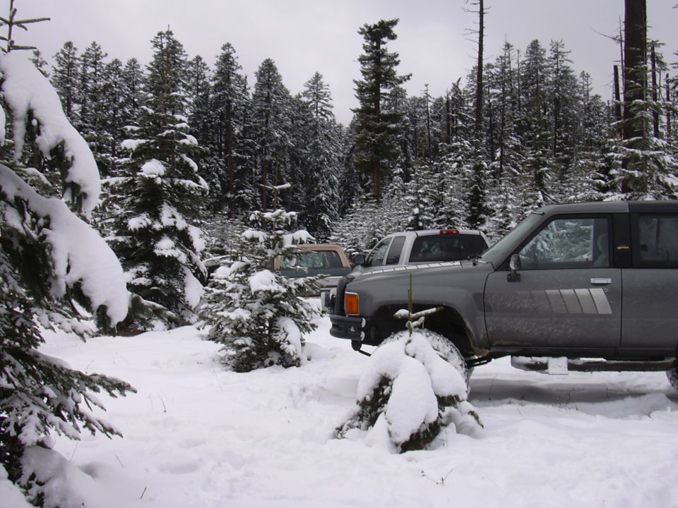 Two trucks parked in a snow-covered forest with pine trees