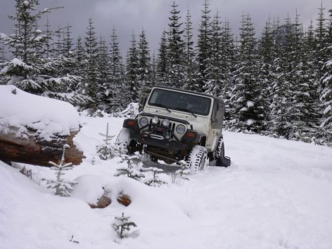 1991 Ford Bronco - A white Jeep Wrangler navigates a snowy forest road, its tires deep in the snow.
