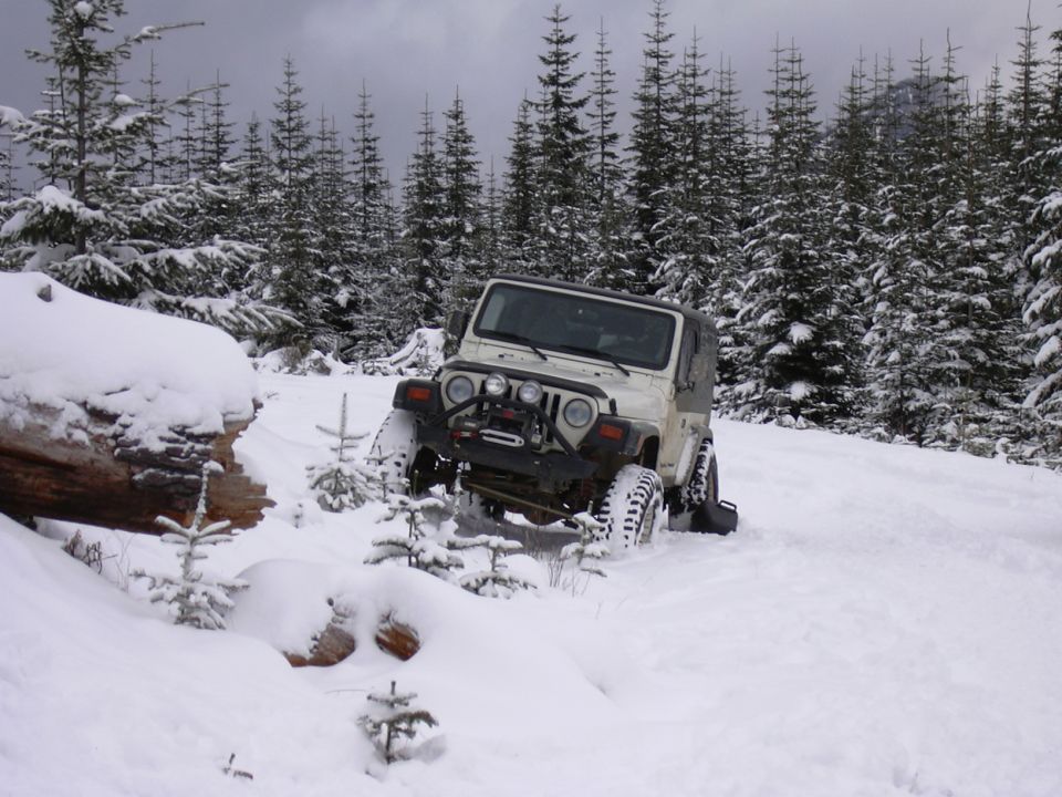 White Jeep Wrangler stuck in snow, front bumper with winch, off-road tires, surrounded by snow-covered trees