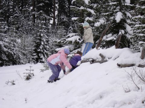 1991 Ford Bronco - Three children are playing in the snow, climbing up a hill in a wooded area.